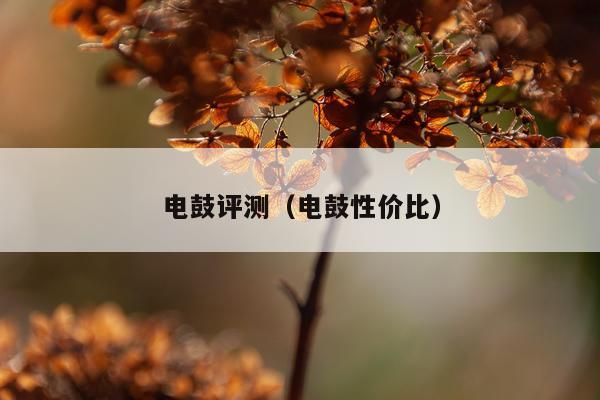 电鼓评测（电鼓性价比）