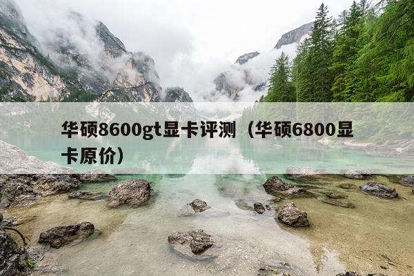 华硕8600gt显卡评测（华硕6800显卡原价）