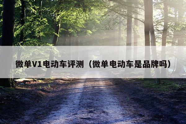 微单V1电动车评测（微单电动车是品牌吗）