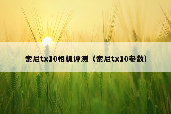 索尼tx10相机评测（索尼tx10参数）