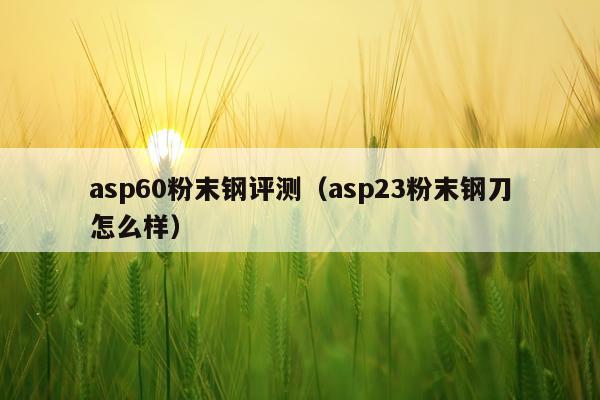 asp60粉末钢评测（asp23粉末钢刀怎么样）