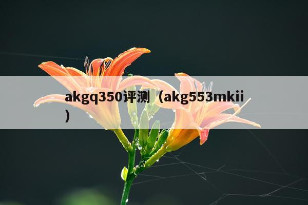 akgq350评测（akg553mkii）