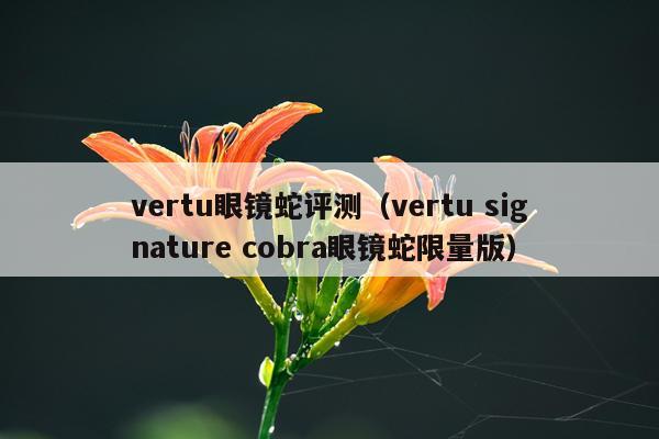 vertu眼镜蛇评测（vertu signature cobra眼镜蛇限量版）