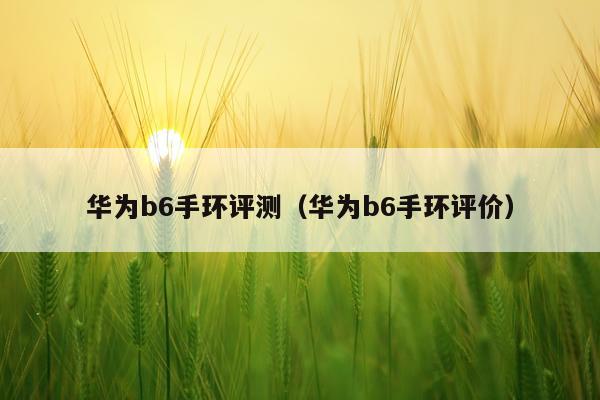 华为b6手环评测（华为b6手环评价）