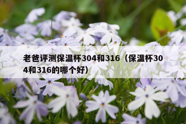 老爸评测保温杯304和316（保温杯304和316的哪个好）