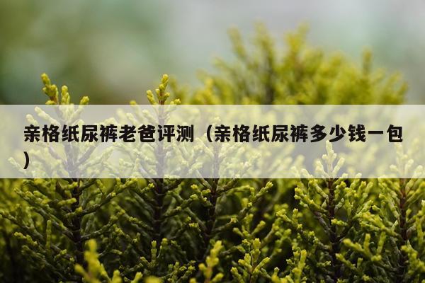 亲格纸尿裤老爸评测（亲格纸尿裤多少钱一包）