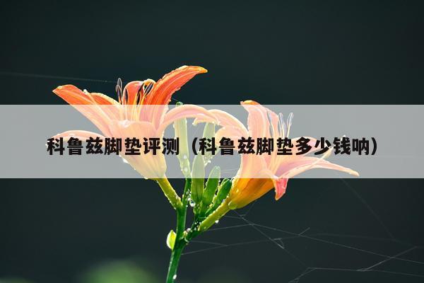 科鲁兹脚垫评测（科鲁兹脚垫多少钱呐）