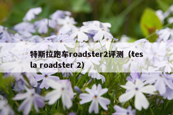 特斯拉跑车roadster2评测（tesla roadster 2）
