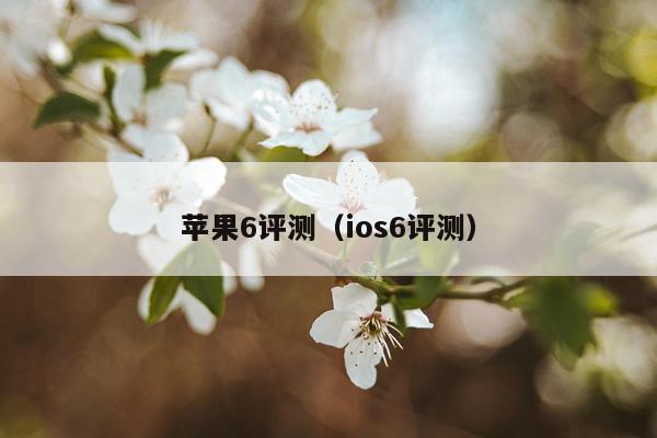 苹果6评测（ios6评测）