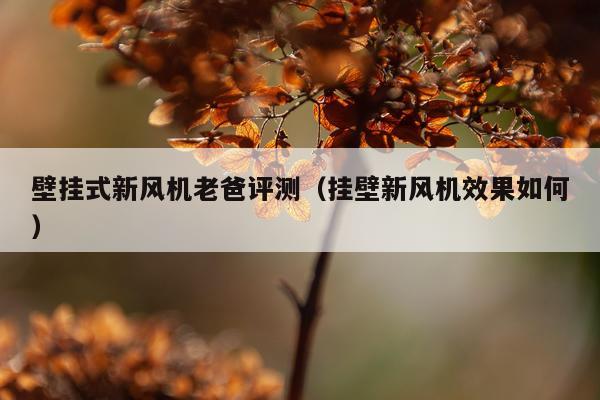 壁挂式新风机老爸评测（挂壁新风机效果如何）