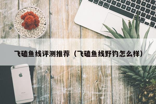 飞磕鱼线评测推荐（飞磕鱼线野钓怎么样）