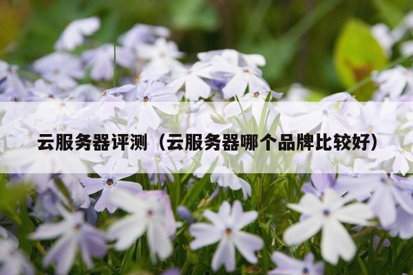 云服务器评测（云服务器哪个品牌比较好）