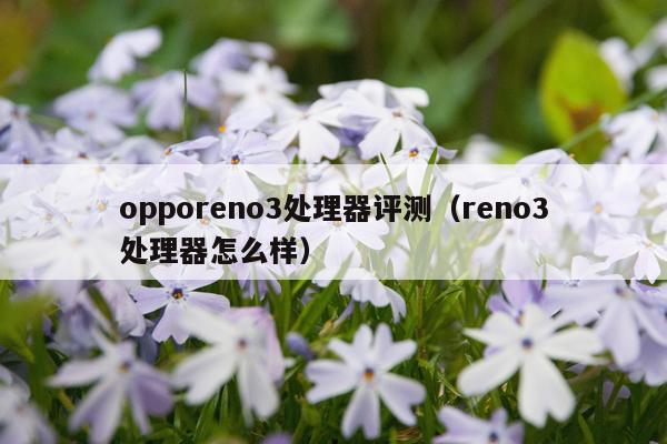 opporeno3处理器评测（reno3处理器怎么样）