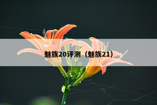 魅族20评测（魅族21）