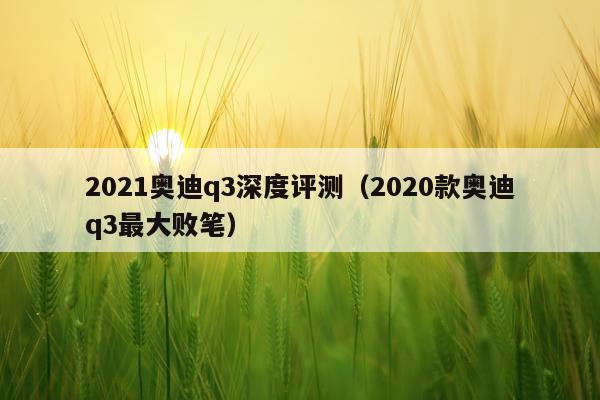2021奥迪q3深度评测（2020款奥迪q3最大败笔）