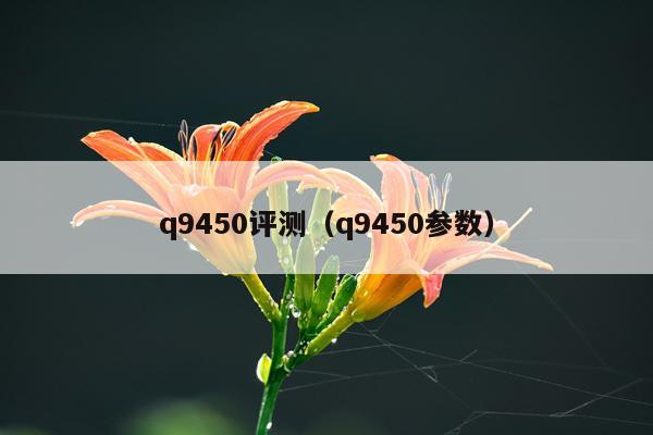 q9450评测（q9450参数）