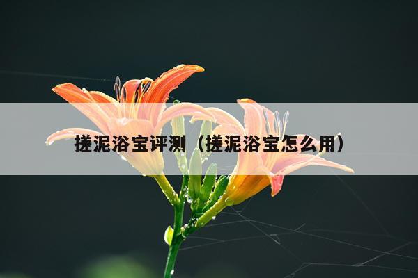 搓泥浴宝评测（搓泥浴宝怎么用）