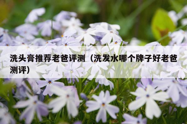洗头膏推荐老爸评测（洗发水哪个牌子好老爸测评）