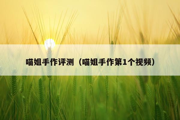喵姐手作评测（喵姐手作第1个视频）