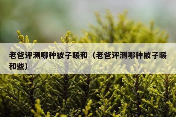 老爸评测哪种被子暖和（老爸评测哪种被子暖和些）
