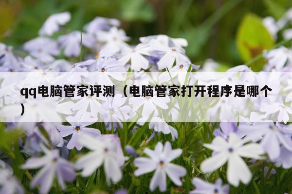 qq电脑管家评测（电脑管家打开程序是哪个）