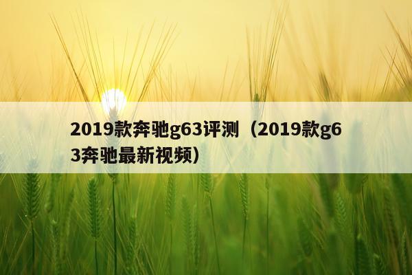 2019款奔驰g63评测（2019款g63奔驰最新视频）
