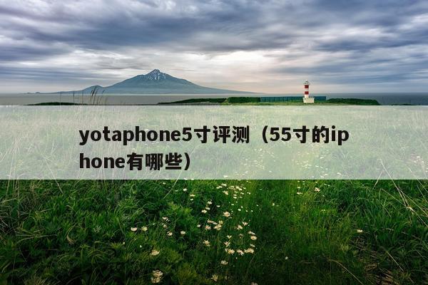 yotaphone5寸评测（55寸的iphone有哪些）