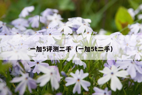 一加5评测二手（一加5t二手）