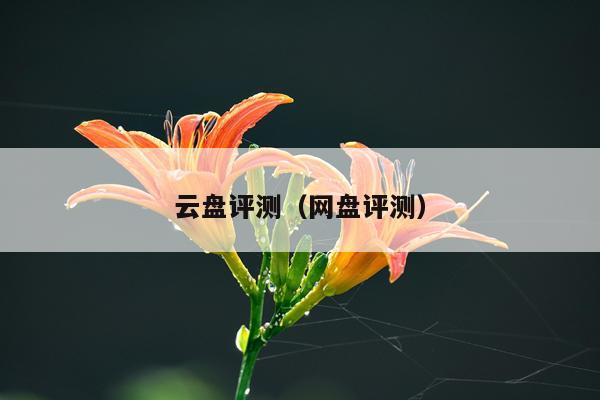 云盘评测（网盘评测）