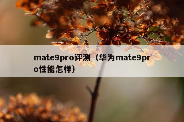mate9pro评测（华为mate9pro性能怎样）
