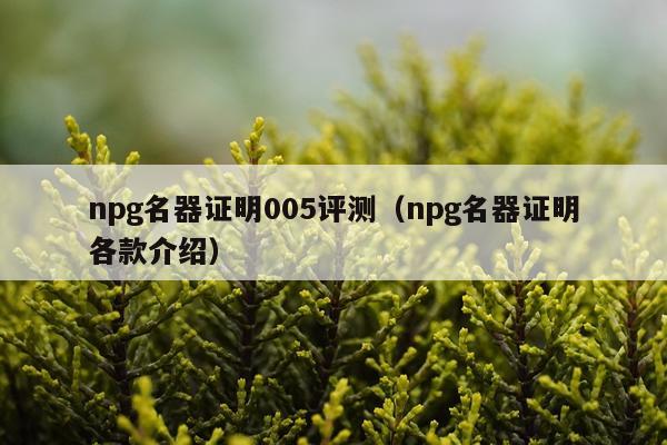 npg名器证明005评测（npg名器证明各款介绍）