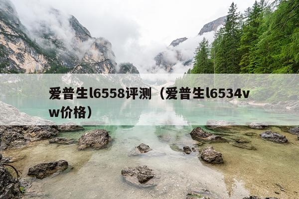 爱普生l6558评测（爱普生l6534vw价格）