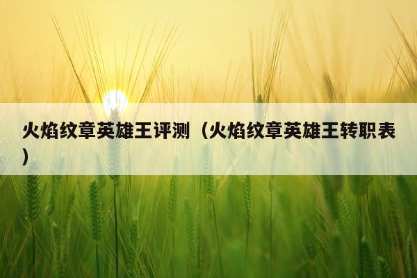 火焰纹章英雄王评测（火焰纹章英雄王转职表）