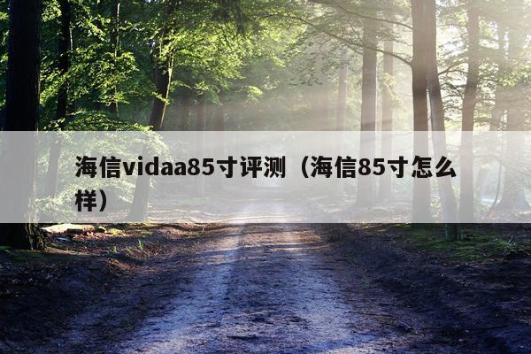海信vidaa85寸评测（海信85寸怎么样）