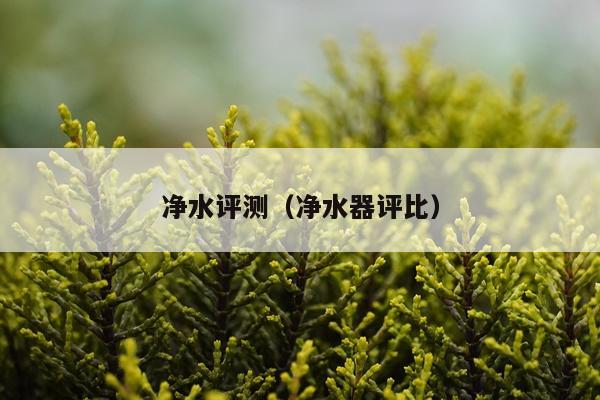 净水评测（净水器评比）