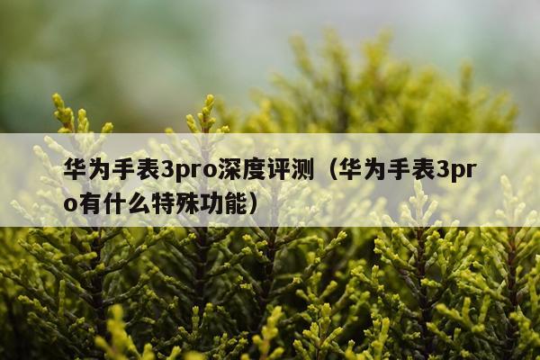 华为手表3pro深度评测（华为手表3pro有什么特殊功能）