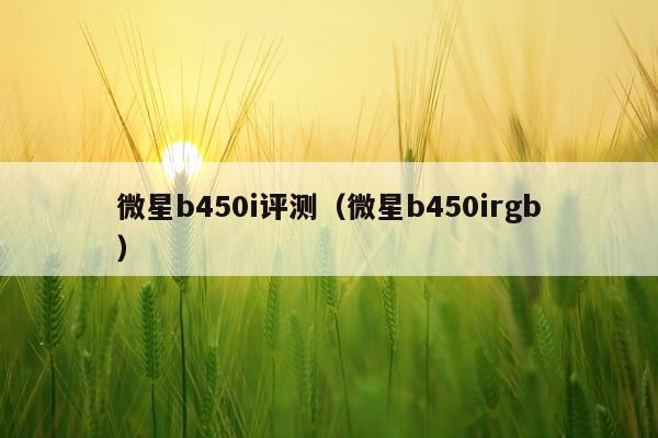 微星b450i评测（微星b450irgb）