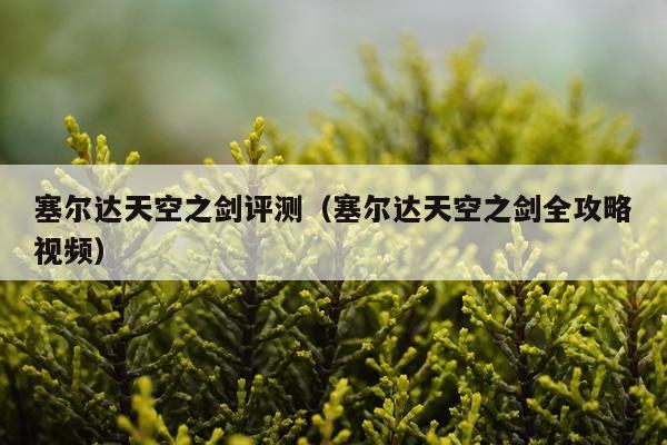 塞尔达天空之剑评测（塞尔达天空之剑全攻略视频）
