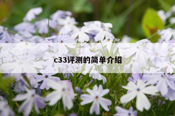 c33评测的简单介绍