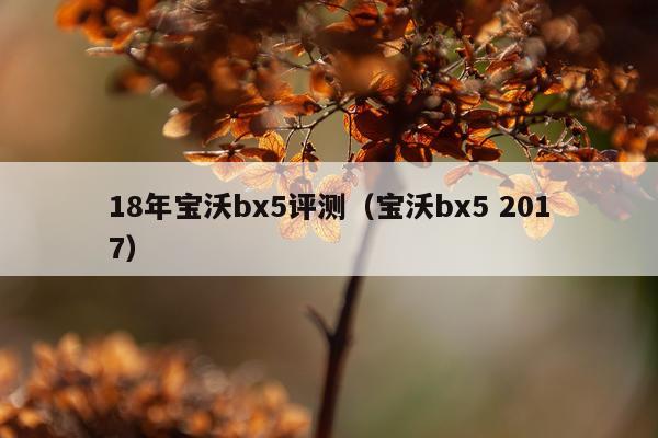 18年宝沃bx5评测（宝沃bx5 2017）