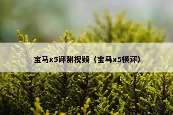 宝马x5评测视频（宝马x5横评）