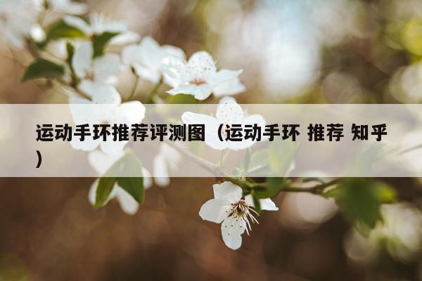 运动手环推荐评测图（运动手环 推荐 知乎）