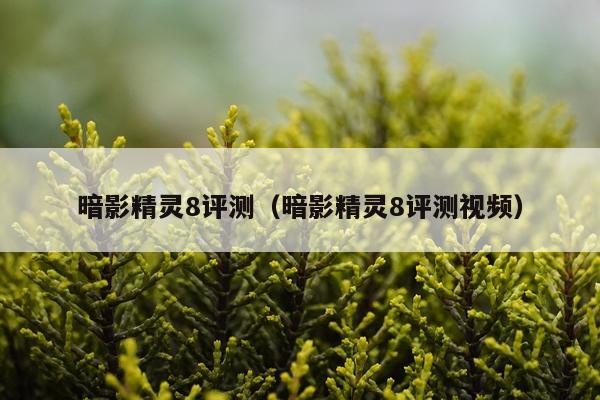 暗影精灵8评测（暗影精灵8评测视频）