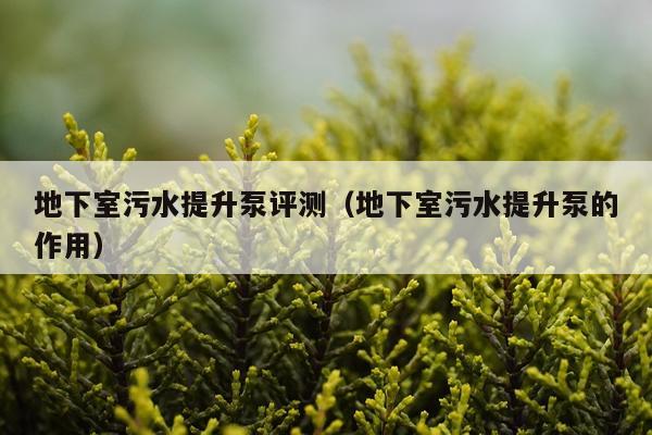 地下室污水提升泵评测（地下室污水提升泵的作用）