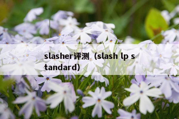 slasher评测（slash lp standard）
