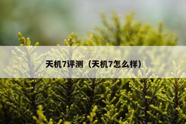 天机7评测（天机7怎么样）