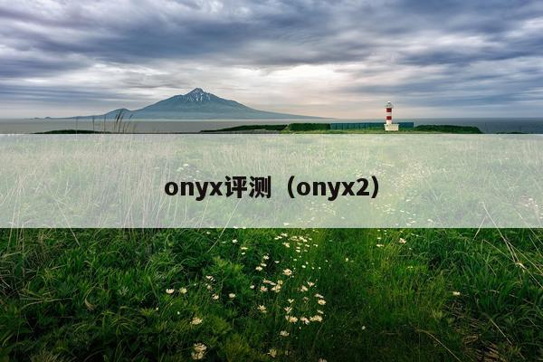 onyx评测（onyx2）