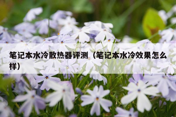 笔记本水冷散热器评测（笔记本水冷效果怎么样）