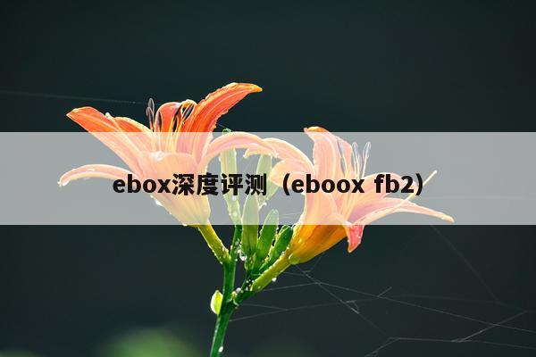 ebox深度评测（eboox fb2）