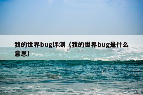 我的世界bug评测（我的世界bug是什么意思）